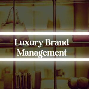 India's First Luxury B-School Launches An Online Course With Knorish